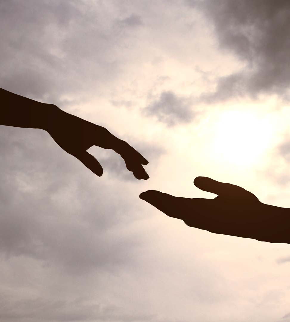 mo-l'endroit-bois-marchand