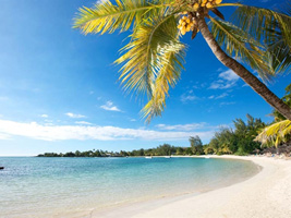 Best International Hotel Website