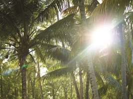 Luxury Hotels and Resorts Operator of the year 2014