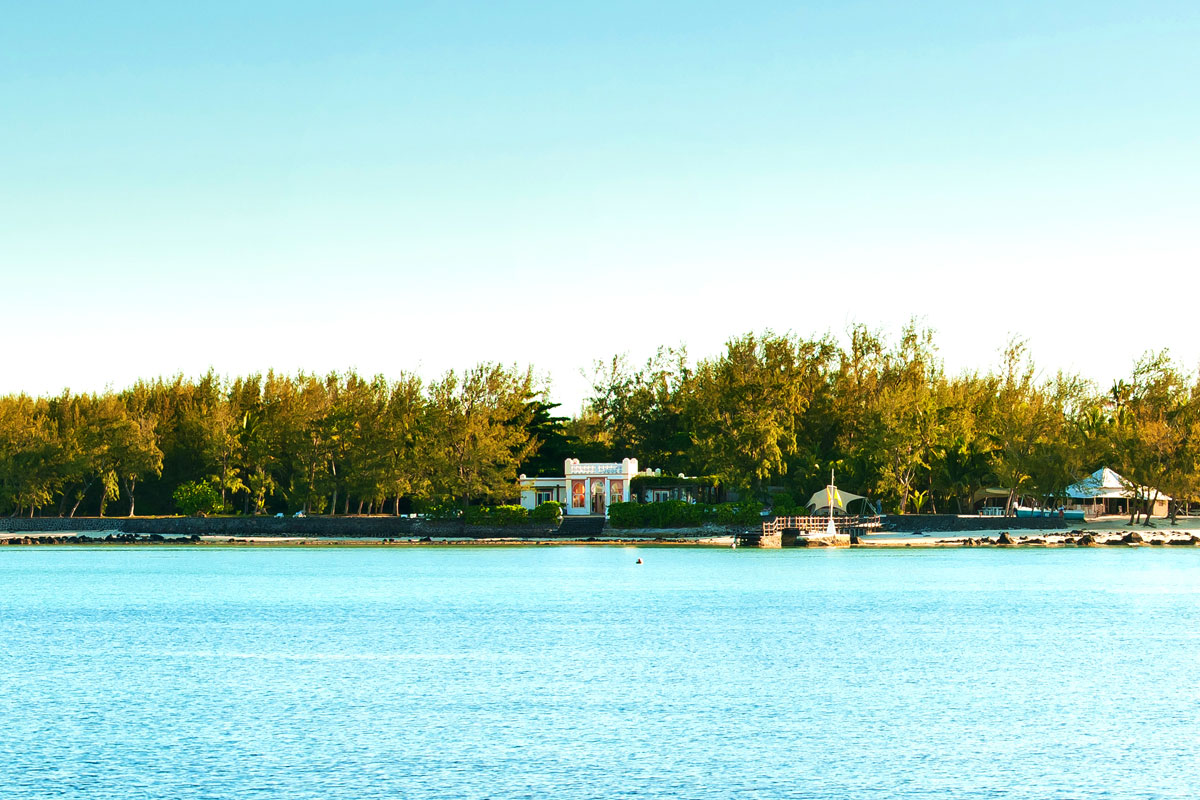 2016 Certificate of excellence TripAdvisor